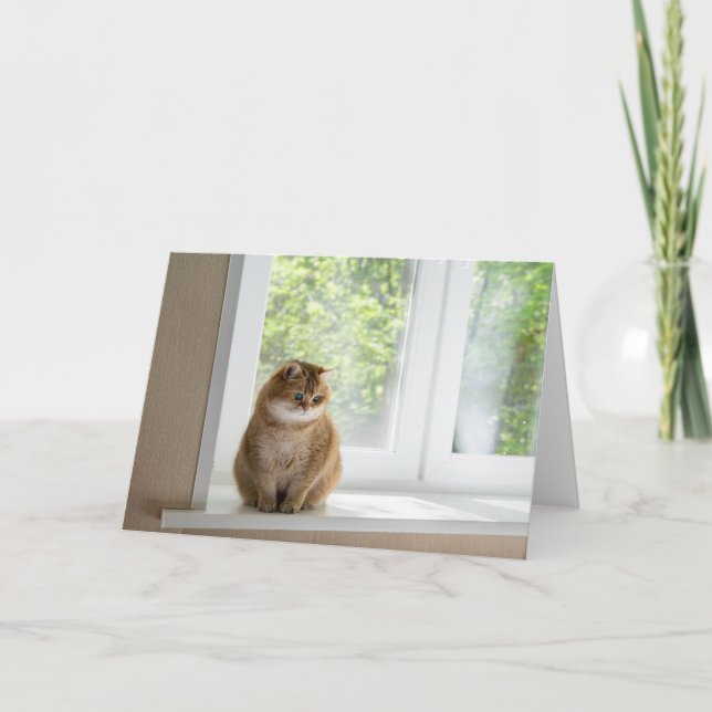 Tarjeta Físico en la ventana (Anverso)