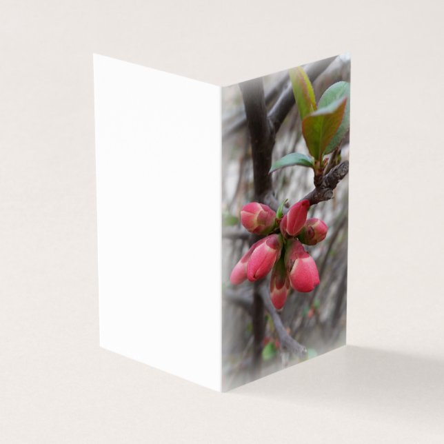 Tarjeta flamante membrillo (Exterior)