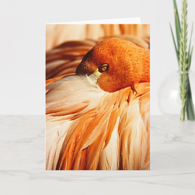 Tarjeta Flamingo (Anverso)