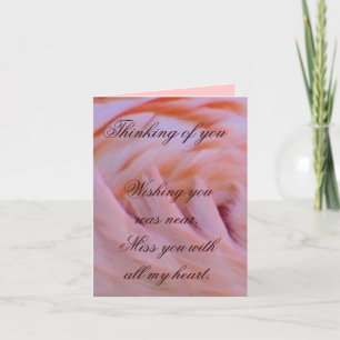 Tarjeta Flamingo feathers_