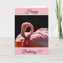 Tarjeta Flamingo Feliz Cumpleaños Personalizada