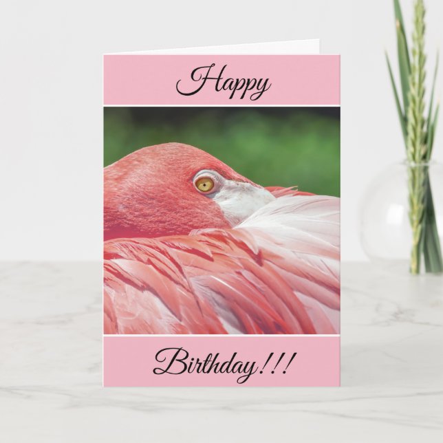 Tarjeta Flamingo Feliz Cumpleaños Personalizada (Anverso)