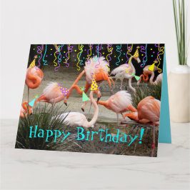 Tarjeta Flamingo Fiesta Birds Happy Birday Card