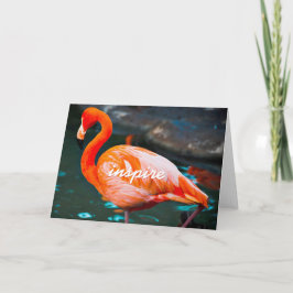 Tarjeta Flamingo Rosa Inspiran Guión De Estilo Moderno