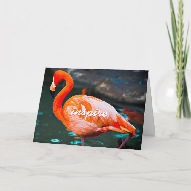 Tarjeta Flamingo Rosa Inspiran Guión De Estilo Moderno (Anverso)