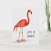Flamingo Rosado De Cumpleaños En Talones Altos