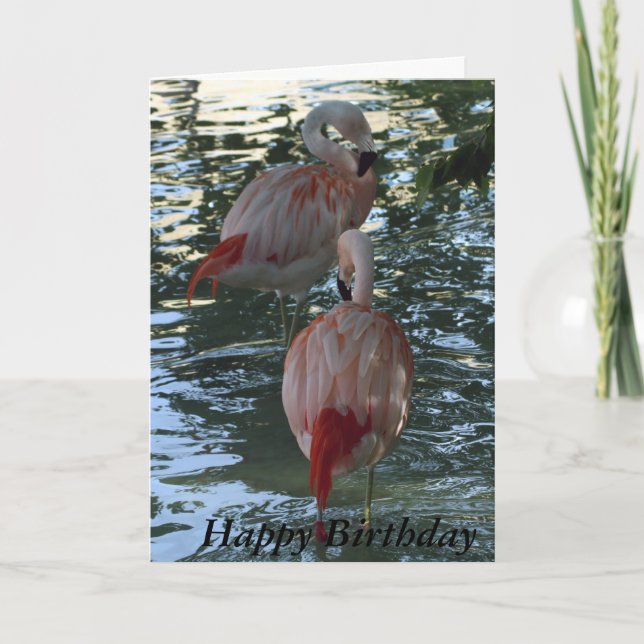 Tarjeta Flamingos (Anverso)