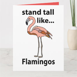 Tarjeta Flamingos Se Mantienen Altos Como Flamingos Flamin