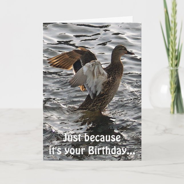 Tarjeta Flapping Mallard Duck Funny Birday Card (Anverso)