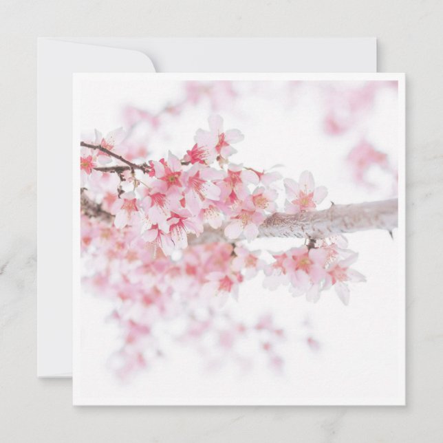 TARJETA FLAR DE FLORAL CHERRY BLOSSOM (Anverso)