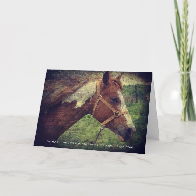 Tarjeta Flashy con presupuesto (Anverso)