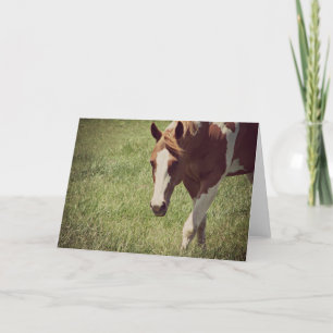 Tarjeta Flashy Paint Horse en todas las ocasiones