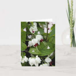 Tarjeta Flechas en la sombra de las campanas blancas