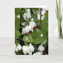 Tarjeta Flechas en la sombra de las campanas blancas