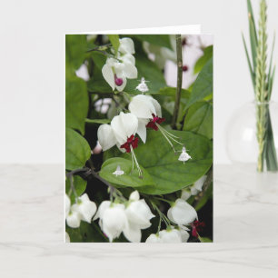 Tarjeta Flechas en la sombra de las campanas blancas