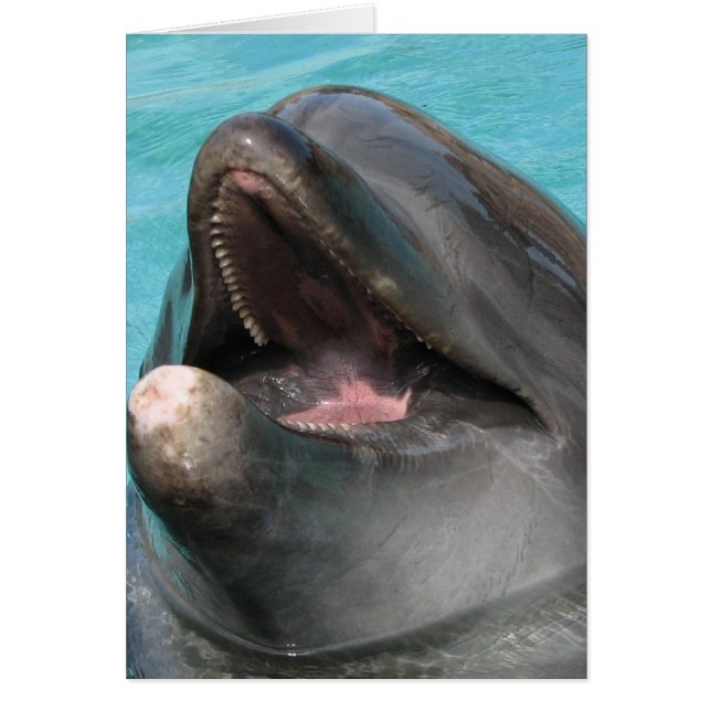 Tarjeta Flipper (Frente)