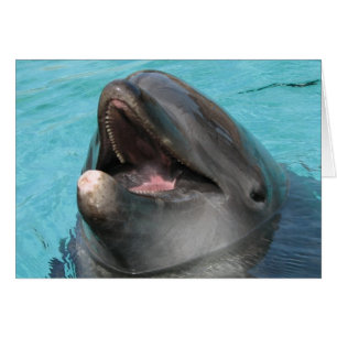 Tarjeta Flipper