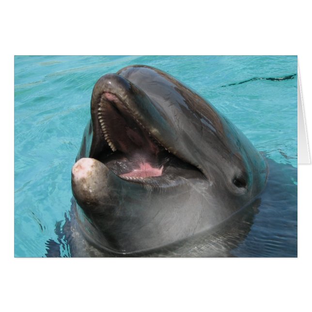 Tarjeta Flipper (Anverso (Horizontal))