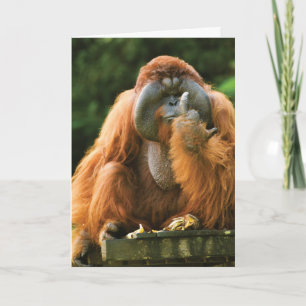 Tarjeta Flipping Monkey-Orangutan - Cumpleaños