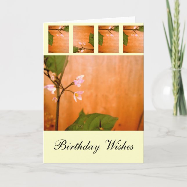 Tarjeta Flor (Anverso)