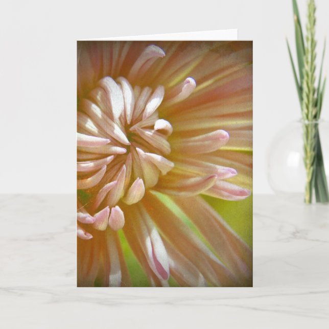 Tarjeta Flor (Anverso)