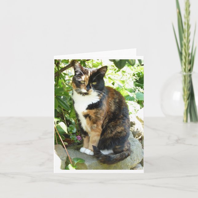 Tarjeta Flor (Anverso)