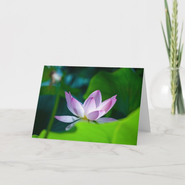 Tarjeta Flor #0417 (Anverso)