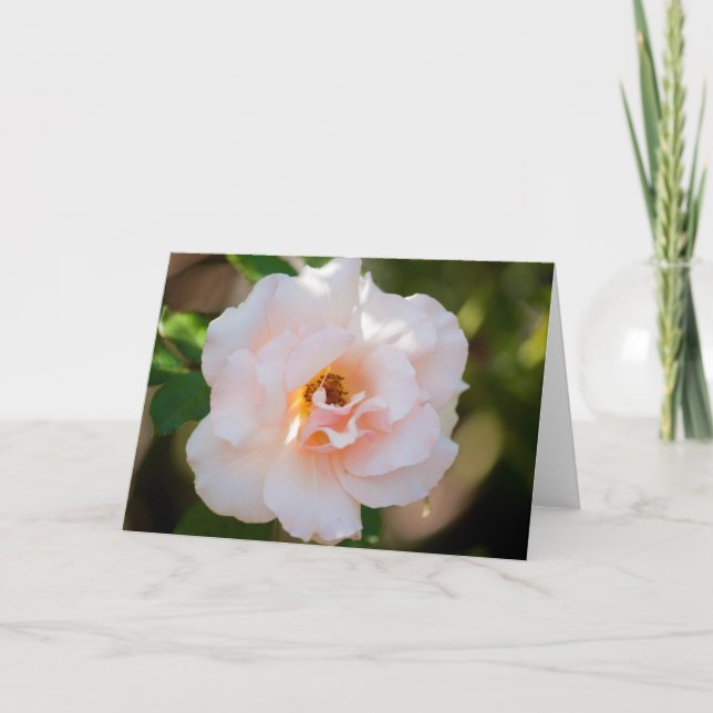 Tarjeta Flor #0724 (Anverso)