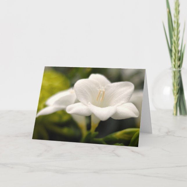 Tarjeta Flor (#1) (Anverso)