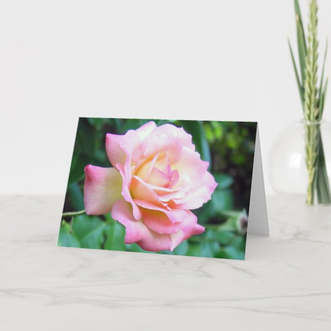 Tarjeta Flor #1231 (Anverso)