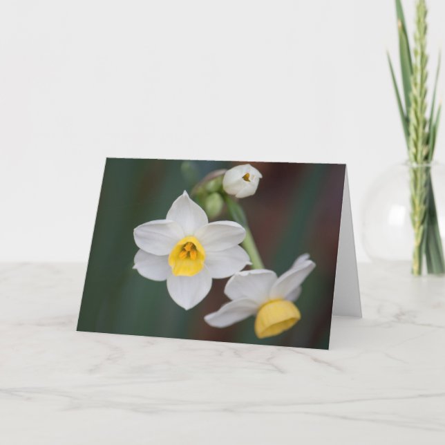 Tarjeta Flor #1579 (Anverso)