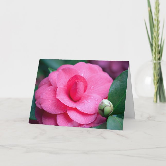 Tarjeta Flor #1657 (Anverso)