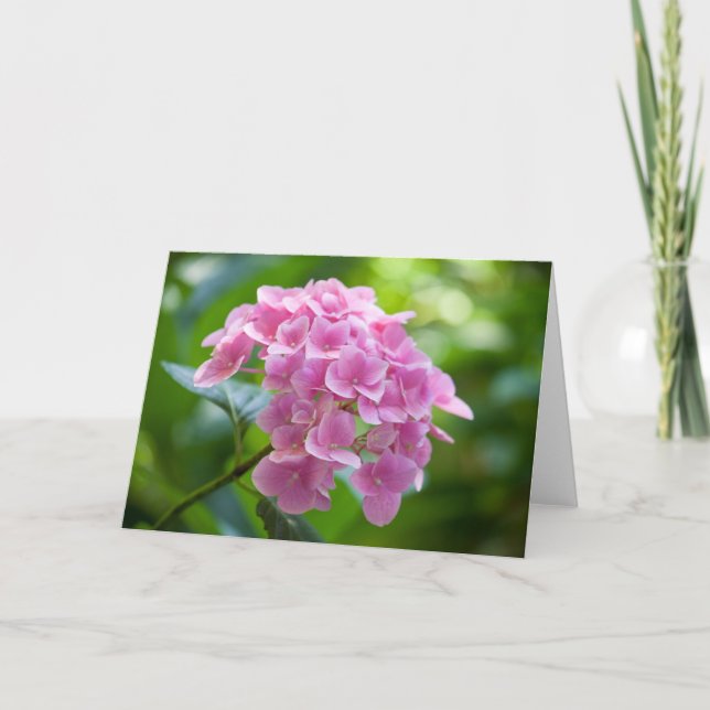 Tarjeta Flor #2453 (Anverso)