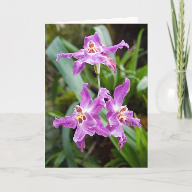 Tarjeta Flor #2770 (Anverso)