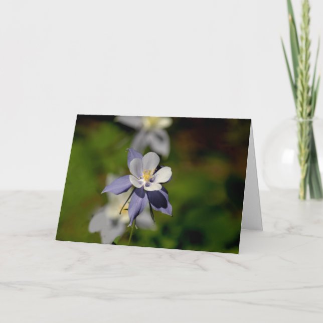 Tarjeta Flor 7 de Columbine (Anverso)