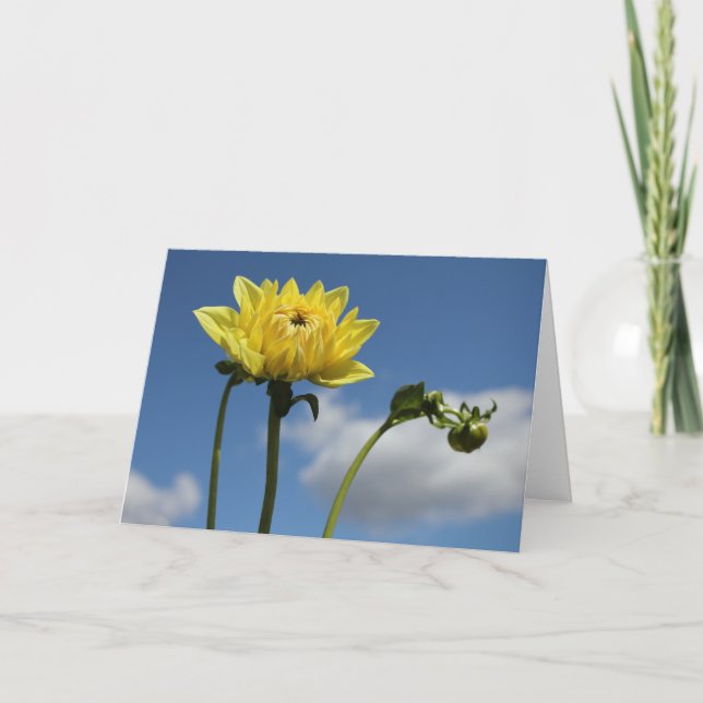 Tarjeta Flor amarilla de la dalia en el sol (Anverso)