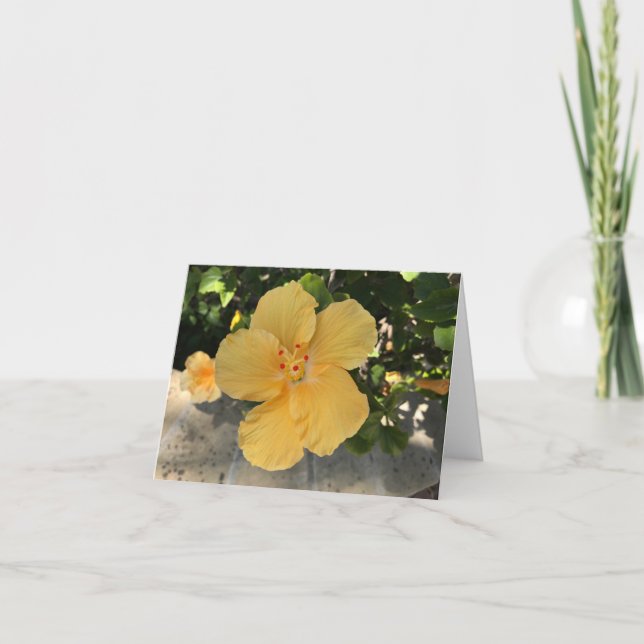 Tarjeta Flor amarilla floreciente (Anverso)