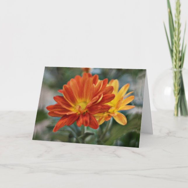 Tarjeta Flor anaranjada Notecard (Anverso)