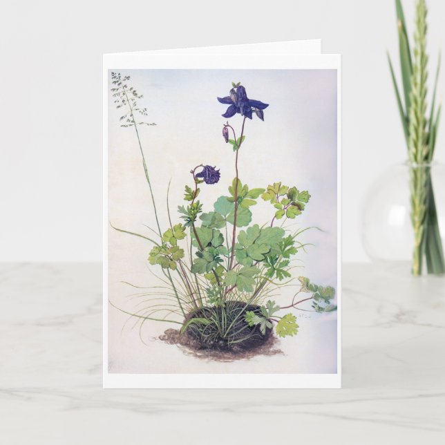 Tarjeta Flor Aquilegia vulgaris, Albrecht Durer (Anverso)
