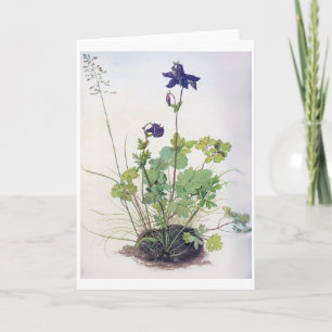 Tarjeta Flor Aquilegia vulgaris, Albrecht Durer