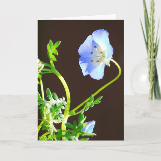 Tarjeta flor azul (Anverso)