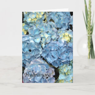 Tarjeta Flor azul de hidrangea