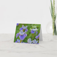 Flor Azul Iris Con Condolencia De Compasión