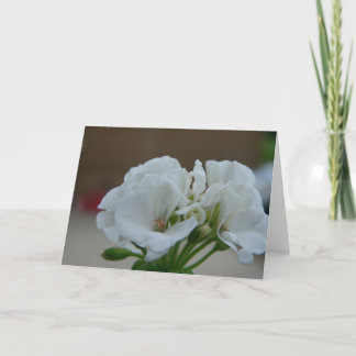 Tarjeta Flor blanca