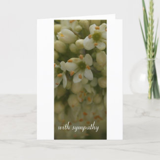 Tarjeta Flor blanca: con condolencia