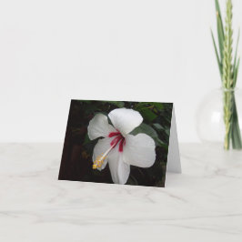 Tarjeta Flor blanca - Pensando en ti, español