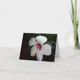 Tarjeta Flor blanca - Pensando en ti, español