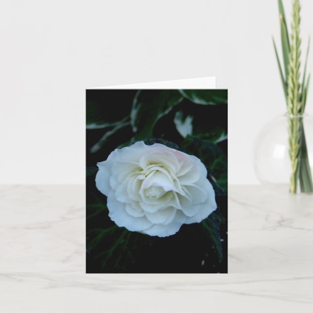 Tarjeta Flor blanca pura (Anverso)
