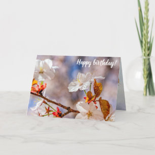 Tarjeta Flor Blanca Sakura Y Saltos Naranjas Sunlight