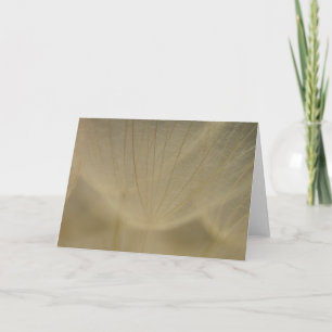 Tarjeta Flor blanca Wispy